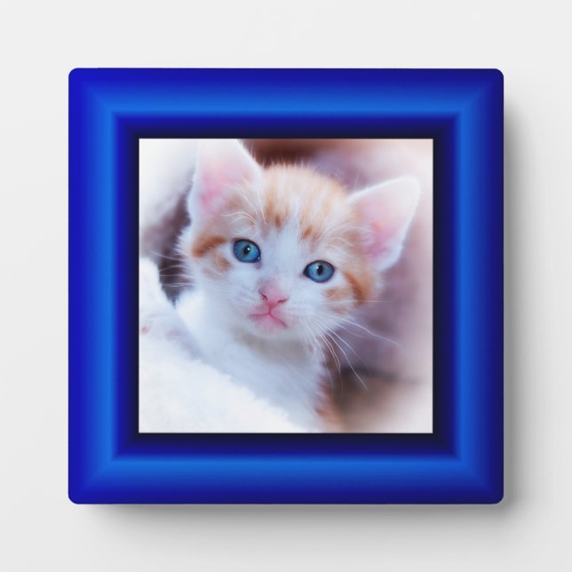 Sapphire Blue Faux Frame Square Photo Border (Front)