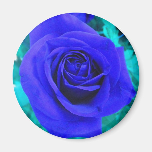 Sapphire Blue Rose magnet (Front)