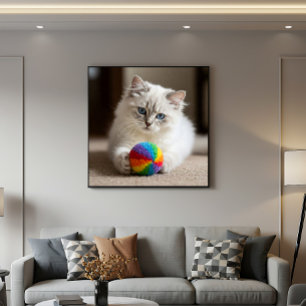 Sapphire Eyes and Colourful Fun Poster