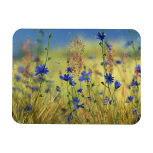 Sapphire & Gold Flexible Magnet