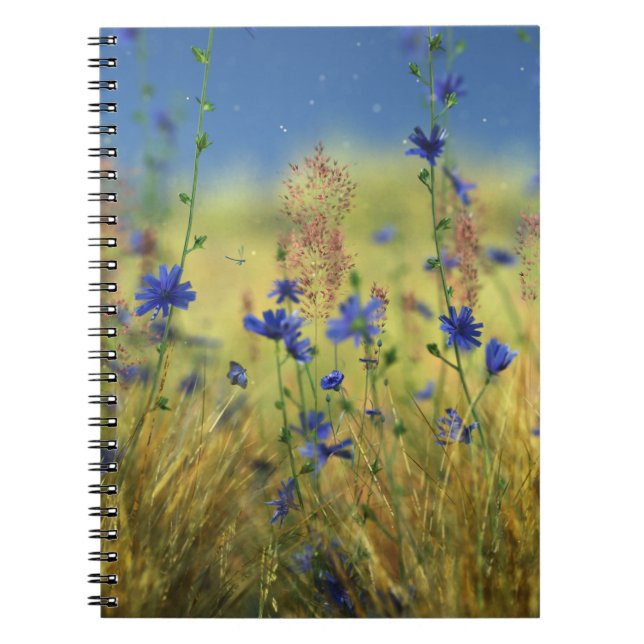Sapphire & Gold Notebook (Front)