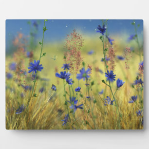 Sapphire & Gold Plaque