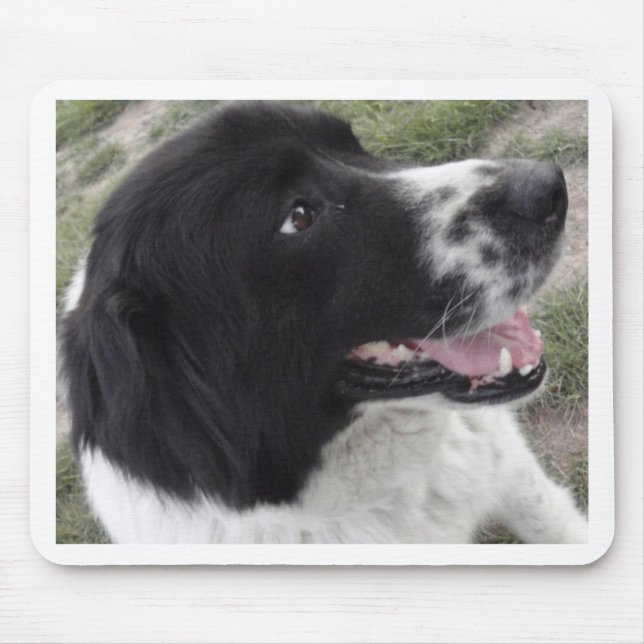 Sara Bulgarian Shepherd Dog Mouse Pad (Front)