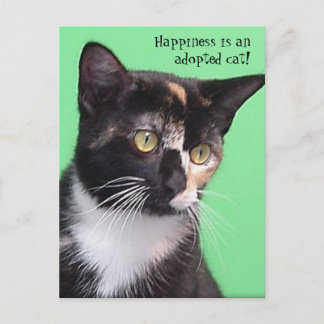 Sara - Happiness is an adopted cat! Postcard