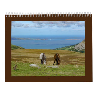 Sarah Woodbury's Carneddau Ponies Calendar