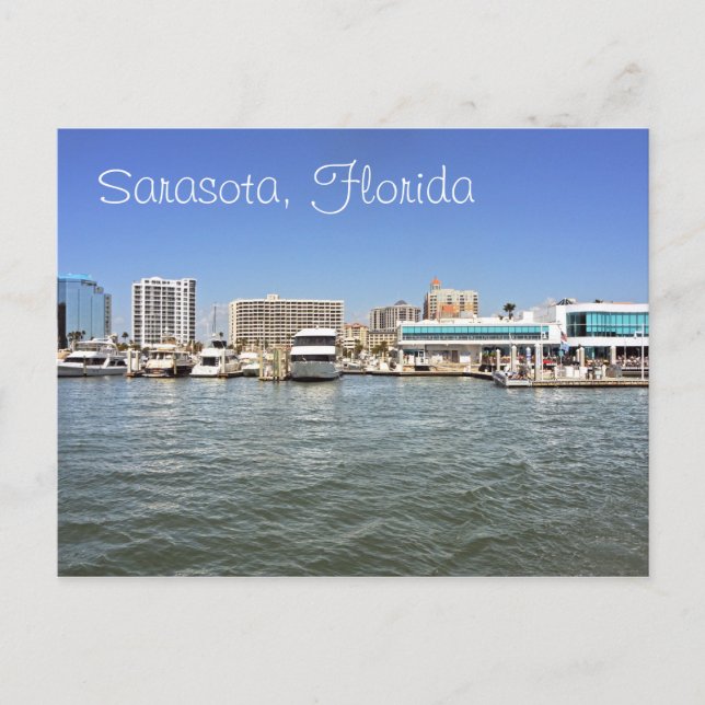 Sarasota, Florida skyline from the bay. Postcard (Front)
