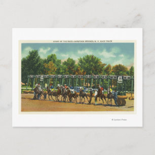 Saratoga Race Track Starting Line View Postcard