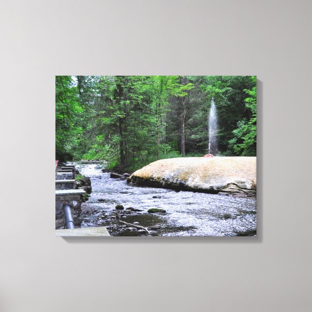 Saratoga Spa State Park-Geyser Creek Canvas Print (Front)