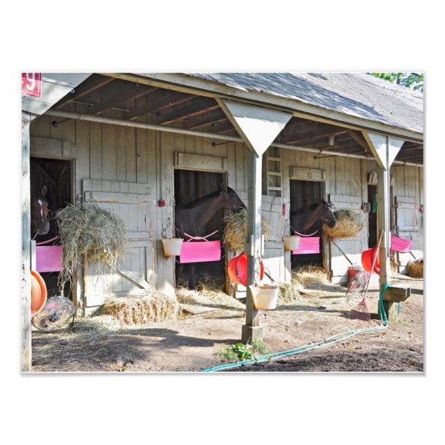 Saratoga Stables "Horse Haven" Photo Print (Front)
