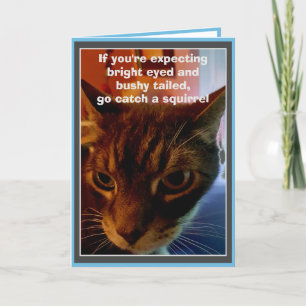 Sarcastic Cat Funny Birthday Card