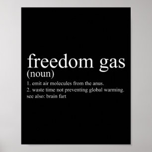 Sarcastic Definition Freedom Gas Shirt Cool Politi Poster