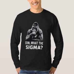 Sarcastic Humour Meme Erm What The Sigma Funny Iro T-Shirt