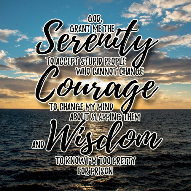 Sarcastic stupid people Serenity Prayer tshirt (Creator Uploaded)