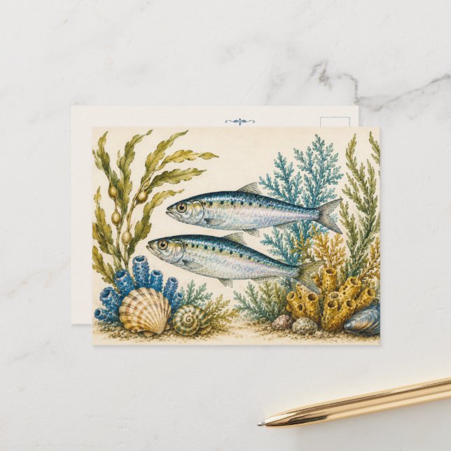 Sardine Ocean Watercolour Inspired Post Card (Front/Back In Situ)