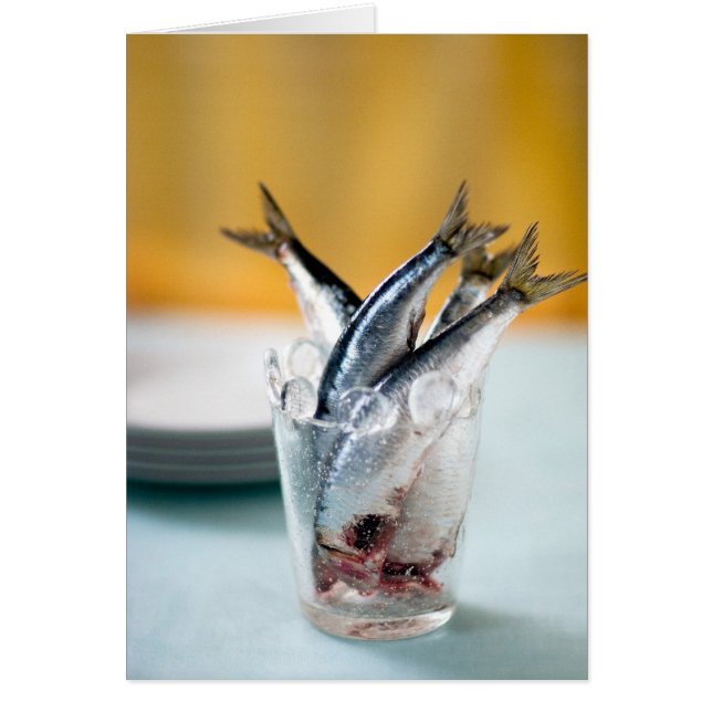 Sardines in a Glass (Front)