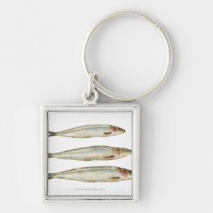 Sardines (Pilchards) 2 Key Ring