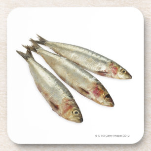 Sardines (Pilchards) Coaster