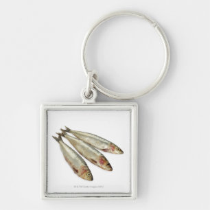 Sardines (Pilchards) Key Ring