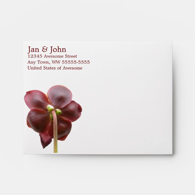 Sarracenia Pitcher Plant Flower Envelopes (Front)