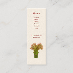Sarracenia Pitcher Plant Mini Business Card