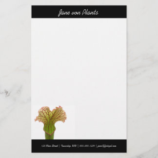 Sarracenia Pitcher Plant Stationery