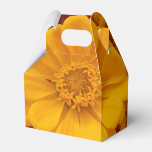 Sartain Favour Box