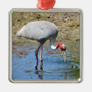 Sarus crane in pond metal tree decoration