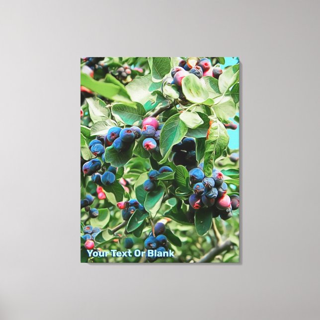 Saskatoon Canvas Print (Front)