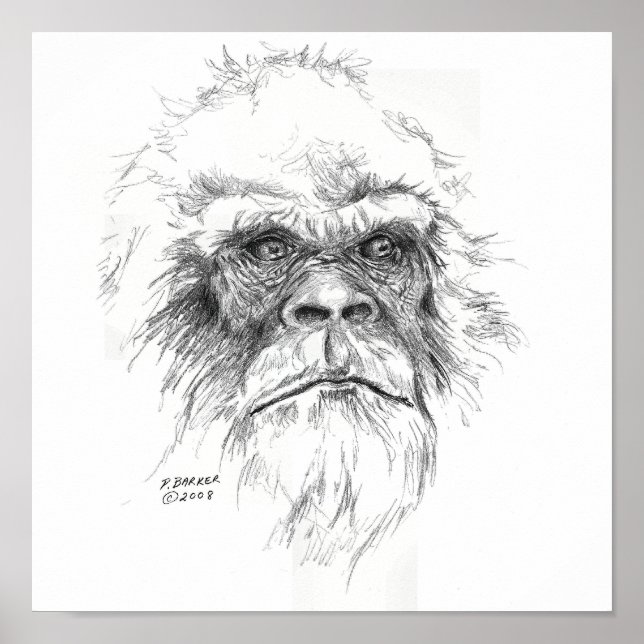 Sasquatch Prints (Front)