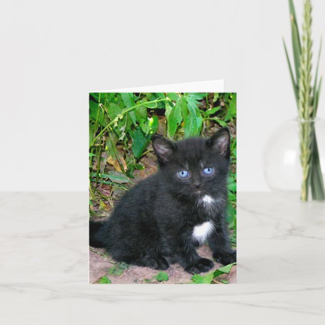 Sassa Note Card (Front)