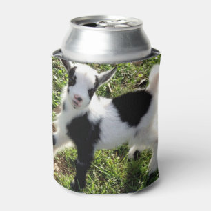Sassy Black and White Nigerian Dwarf Goat Kid Can Cooler