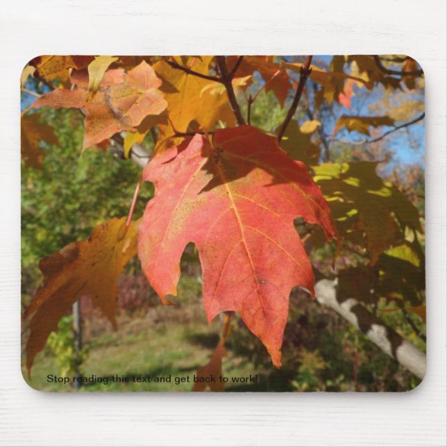 Sassy Mousepad of Nature (Front)