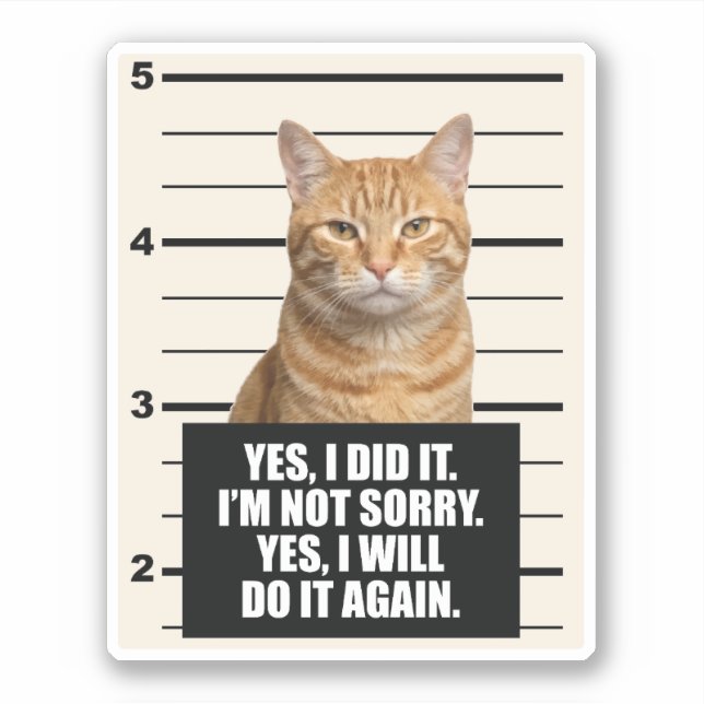 Sassy Orange Cat Mugshot (Front)
