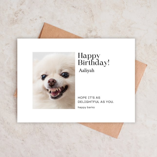Sassy Pomeranian Birthday Card (Playful Pomeranian Birthday Card with Sassy Charm)