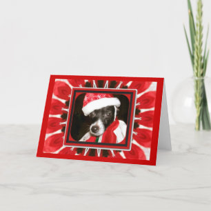 Sassy Santa Dog Holiday Card