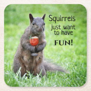 Sassy Squirrels Coasters