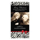 Sassy Zebra Christmas