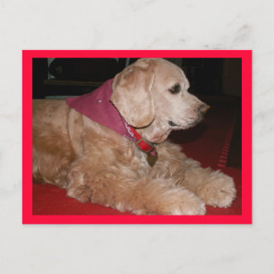 sassygirl postcard