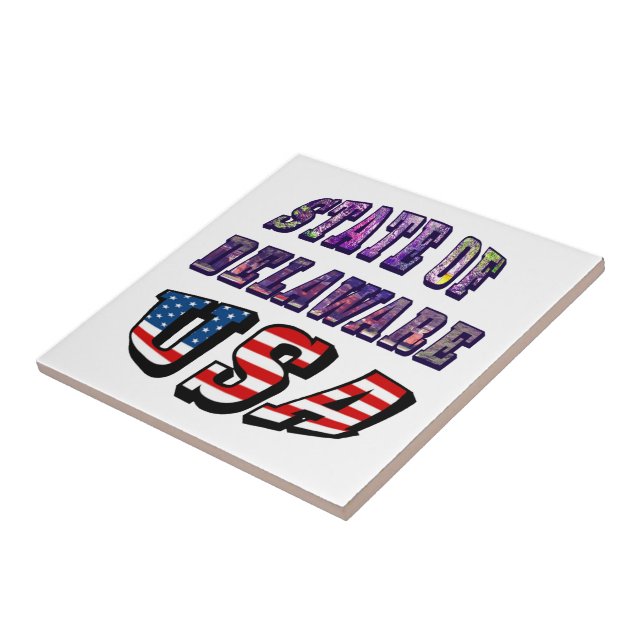 Sate of Delaware Picture and USA Flag Text Tile (Side)