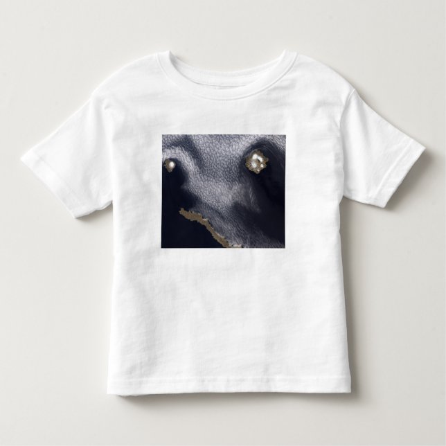 Satellite image of Semisopochnoi Island Toddler T-Shirt (Front)