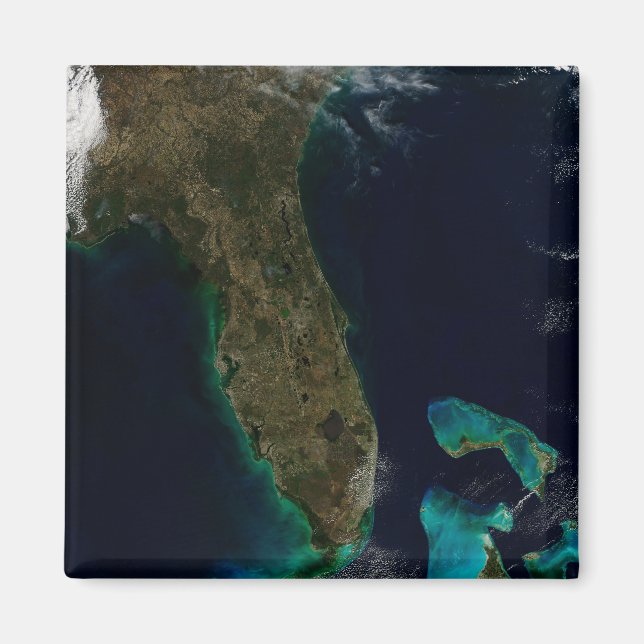 Satellite View Of Florida. Magnet (Front)