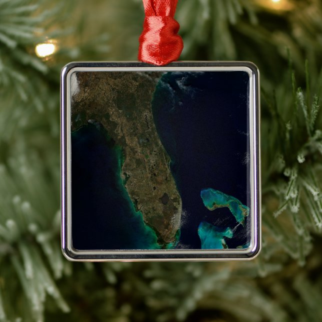 Satellite View Of Florida. Metal Tree Decoration (Tree)