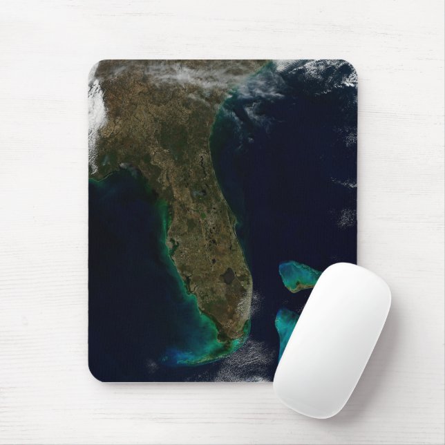Satellite View Of Florida. Mouse Pad (With Mouse)