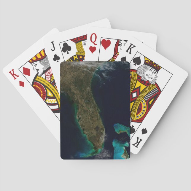 Satellite View Of Florida. Playing Cards (Back)