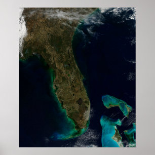 Satellite View Of Florida. Poster