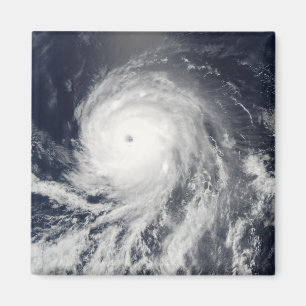 Satellite view of Hurricane Celia Magnet