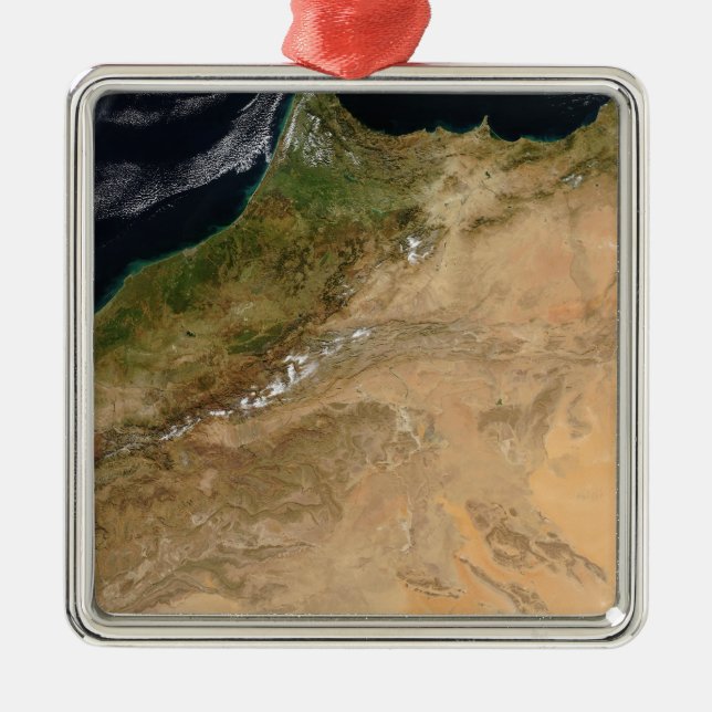 Satellite view of Morocco Metal Tree Decoration (Front)
