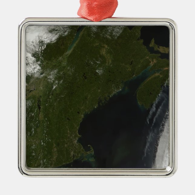 Satellite view of New England Metal Tree Decoration (Front)