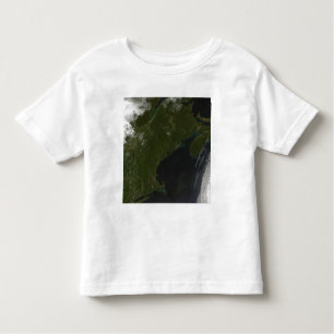 Satellite view of New England Toddler T-Shirt