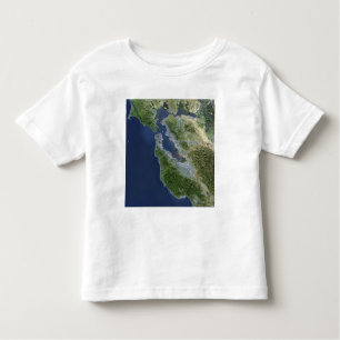 Satellite view of San Francisco, California Toddler T-Shirt